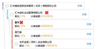 匯中盛世信息咨詢服務（北京）有限責任公司 深耕企業信息技術服務，賦能首都數字經濟發展