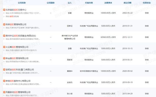 2022年無形資產(chǎn)估值工具和方法研究報(bào)告 聚焦銷售與互聯(lián)網(wǎng)電子產(chǎn)品銷售